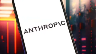 Court backs Anthropic’s record $1.5bn copyright deal