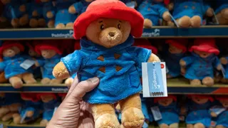 Paddington Bear’s ‘challenging’ action over drug-addled parody