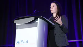 AI industry exceptions could muddy IP protection, says House counsel