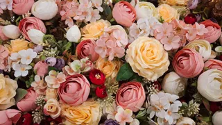 Florist wins dispute over deliberately misspelled ‘Flowerbx’ name
